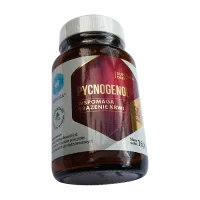 Фото Пикногенол 50мг (32,5мг чистого пикногенола) капс. №60